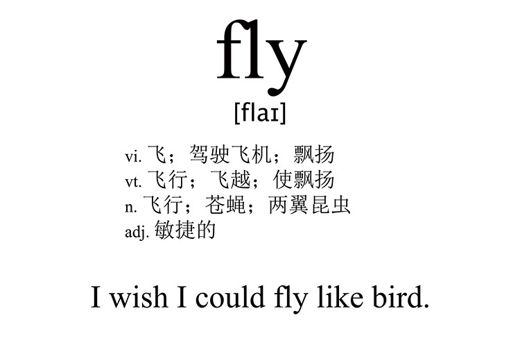 fly