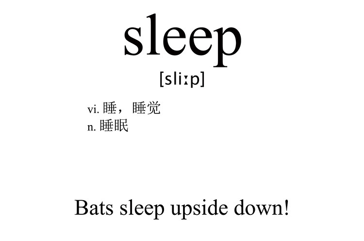sleep