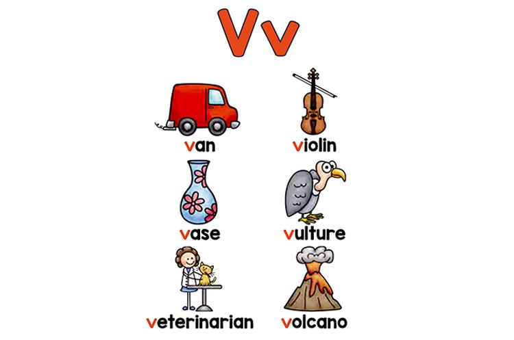 v