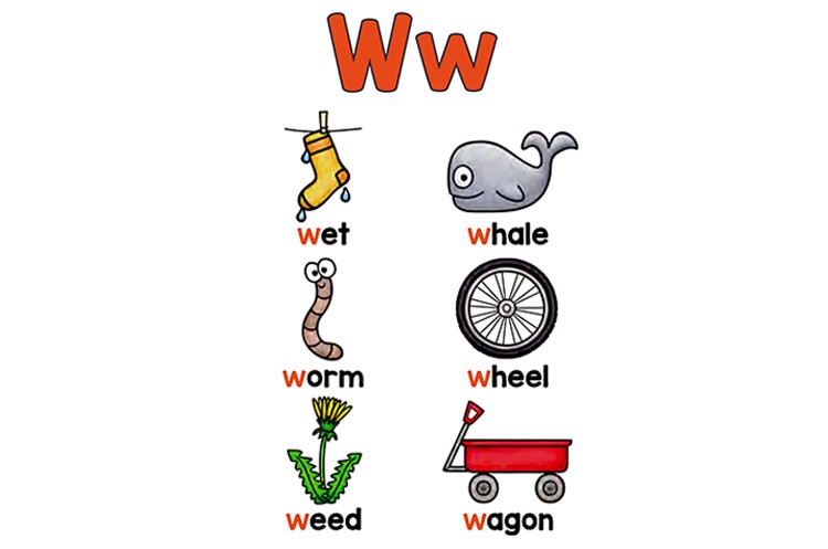 w