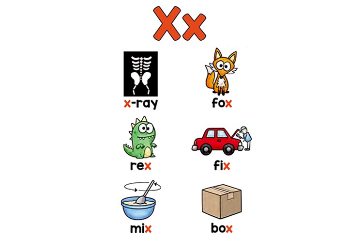 x